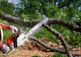 Reliable Sappington, MO Tree Removal and Landscaping Services Solutions